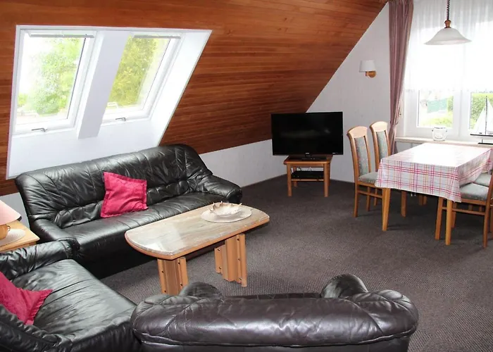 Skipper * 多纳莫塞尔